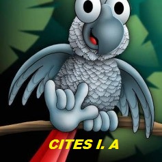 999552_10201614514624286_1255518816_n-237x237